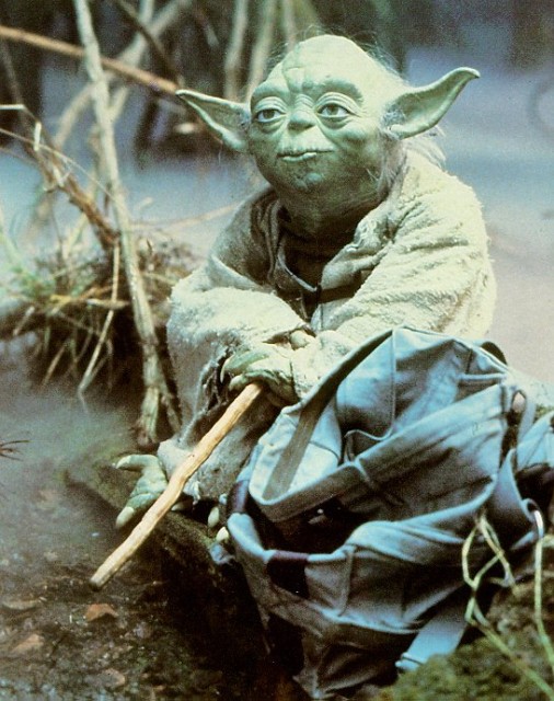 Yoda