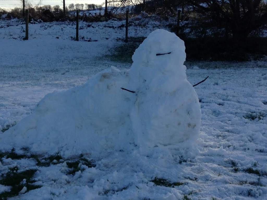 Snow Jabba